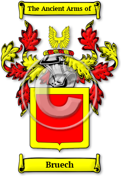 Bruech Family Crest Download (jpg) Legacy Series - 150 DPI