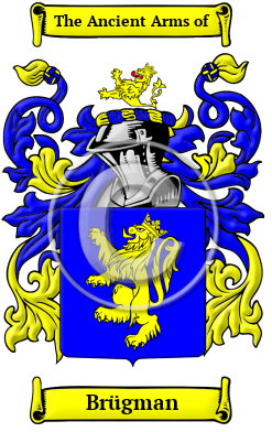 Brügman Family Crest/Coat of Arms