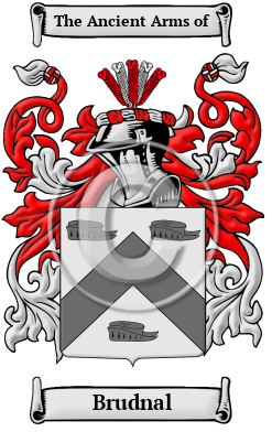 Brudnal Family Crest/Coat of Arms
