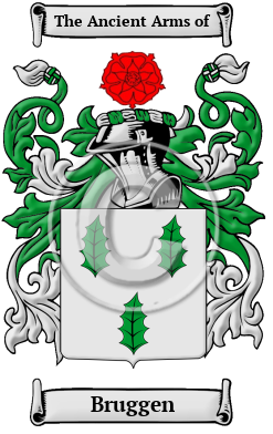 Bruggen Family Crest/Coat of Arms