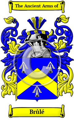 Brûlé Family Crest/Coat of Arms