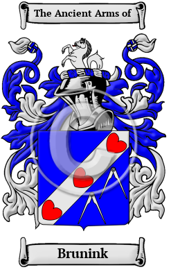 Brunink Family Crest/Coat of Arms