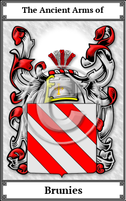 Brunies Family Crest Download (JPG)  Book Plated - 150 DPI
