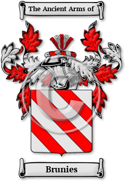 Brunies Family Crest Download (jpg) Legacy Series - 150 DPI