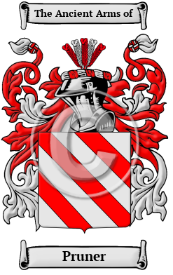 Pruner Family Crest/Coat of Arms