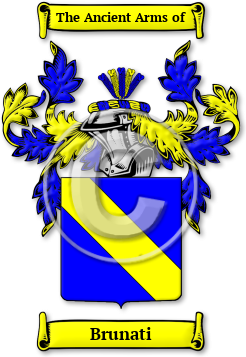 Brunati Family Crest Download (jpg) Legacy Series - 150 DPI