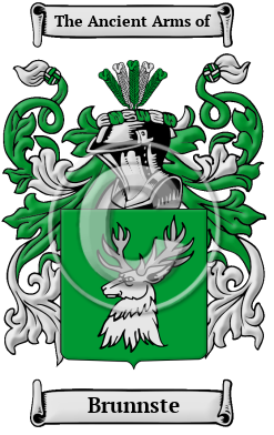 Brunnste Family Crest/Coat of Arms
