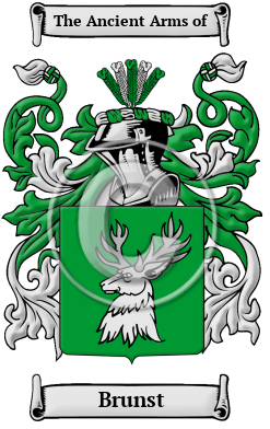 Brunst Family Crest/Coat of Arms