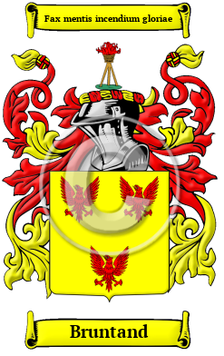Bruntand Family Crest/Coat of Arms