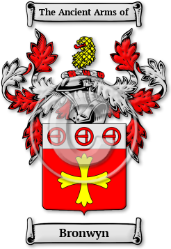 Bronwyn Family Crest Download (JPG) Legacy Series - 600 DPI