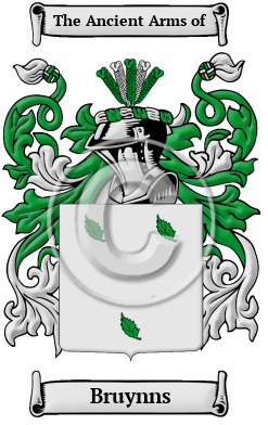Bruynns Family Crest/Coat of Arms
