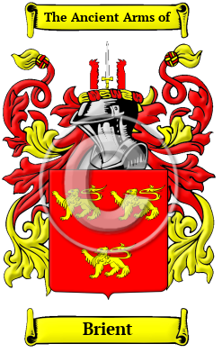 Brient Family Crest/Coat of Arms