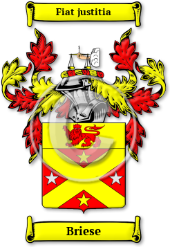 Briese Family Crest Download (jpg) Legacy Series - 150 DPI