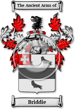 Briddie Family Crest Download (jpg) Legacy Series - 150 DPI