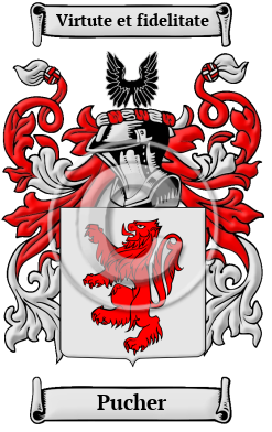 Pucher Family Crest/Coat of Arms