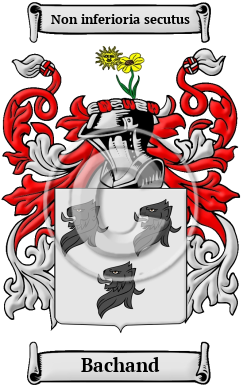 Bachand Family Crest/Coat of Arms