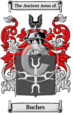 Buches Family Crest/Coat of Arms