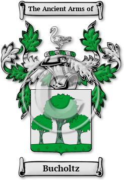 Bucholtz Family Crest Download (jpg) Legacy Series - 150 DPI