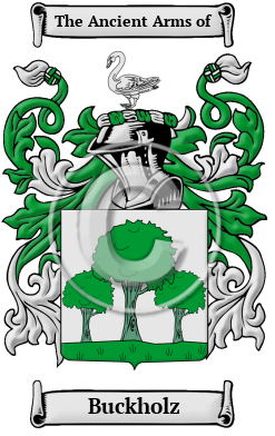 Buckholz Family Crest/Coat of Arms