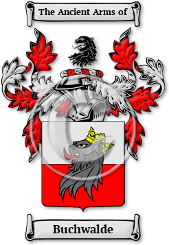 Buchwalde Family Crest Download (jpg) Legacy Series - 150 DPI
