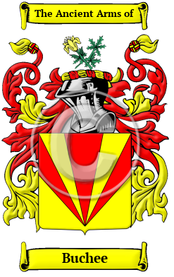 Buchee Family Crest/Coat of Arms