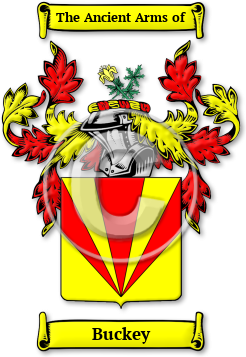 Buckey Family Crest Download (jpg) Legacy Series - 150 DPI