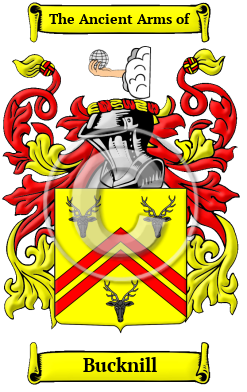 Bucknill Family Crest/Coat of Arms