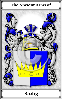 Bodig Family Crest Download (JPG)  Book Plated - 150 DPI
