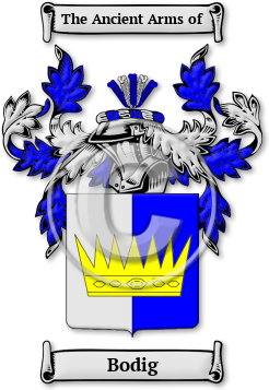 Bodig Family Crest Download (jpg) Legacy Series - 150 DPI