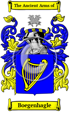 Boegenhagle Family Crest/Coat of Arms