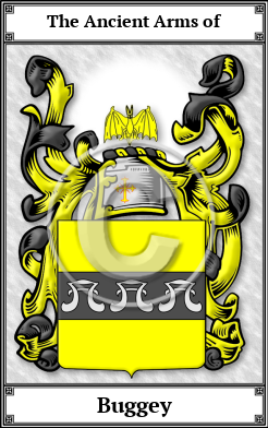 Buggey Family Crest Download (JPG)  Book Plated - 150 DPI
