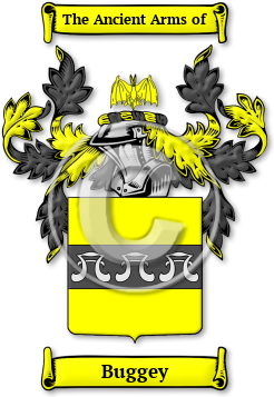 Buggey Family Crest Download (jpg) Legacy Series - 150 DPI