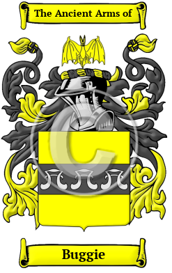Buggie Family Crest/Coat of Arms