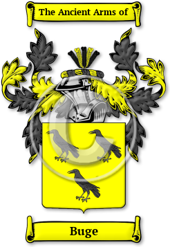Buge Family Crest Download (JPG) Legacy Series - 600 DPI