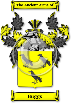 Buggs Family Crest Download (jpg) Legacy Series - 150 DPI