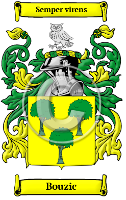 Bouzic Family Crest/Coat of Arms