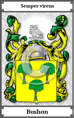 Bushon Family Crest Download (JPG) Book Plated - 600 DPI
