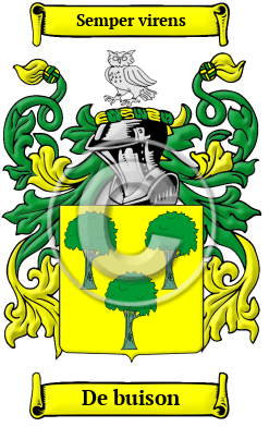 De buison Family Crest/Coat of Arms