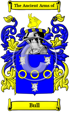 Bull Family Crest/Coat of Arms