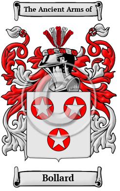 Bollard Family Crest/Coat of Arms