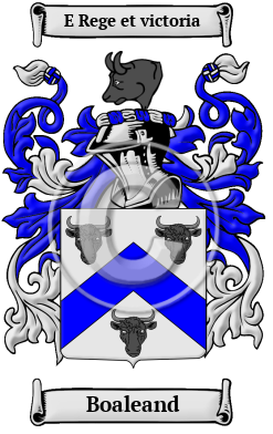 Boaleand Family Crest/Coat of Arms