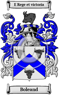 Boleand Family Crest/Coat of Arms