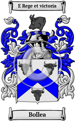 Bollea Family Crest/Coat of Arms