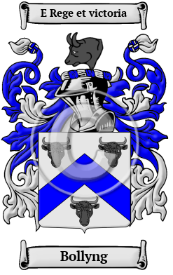 Bollyng Family Crest/Coat of Arms