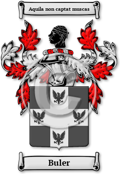 Buler Family Crest Download (JPG) Legacy Series - 300 DPI