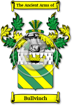 Bullvinch Family Crest Download (jpg) Legacy Series - 150 DPI