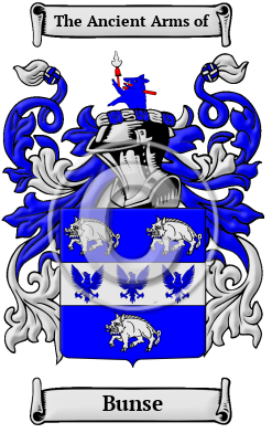 Bunse Family Crest/Coat of Arms