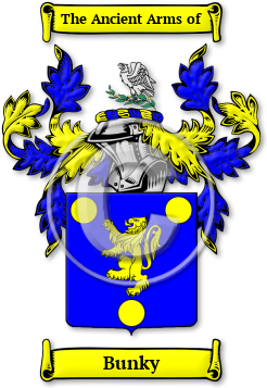 Bunky Family Crest Download (JPG) Legacy Series - 600 DPI