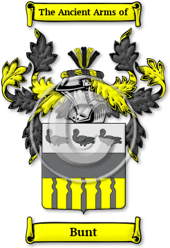 Bunt Family Crest Download (JPG) Legacy Series - 600 DPI