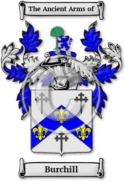 Burchill Family Crest Download (jpg) Legacy Series - 150 DPI